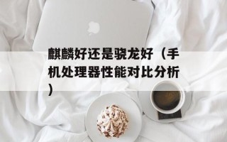 麒麟好还是骁龙好（手机处理器性能对比分析）