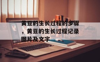 黄豆的生长过程的步骤，黄豆的生长过程记录图片及文字