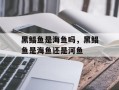黑鲳鱼是海鱼吗，黑鲳鱼是海鱼还是河鱼