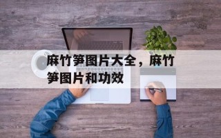 麻竹笋图片大全，麻竹笋图片和功效