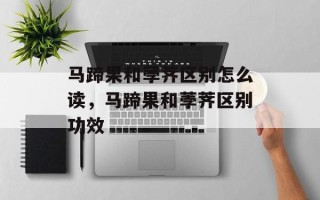 马蹄果和荸荠区别怎么读，马蹄果和荸荠区别功效