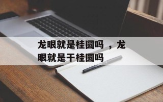 龙眼就是桂圆吗 ，龙眼就是干桂圆吗