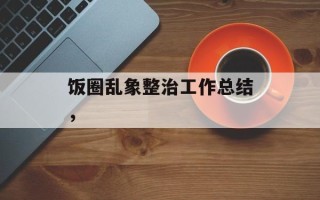饭圈乱象整治工作总结，