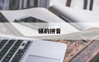骚的拼音