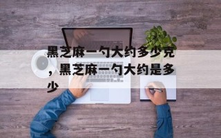 黑芝麻一勺大约多少克，黑芝麻一勺大约是多少