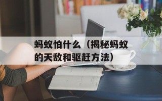 蚂蚁怕什么（揭秘蚂蚁的天敌和驱赶方法）