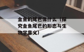 金鱼的尾巴像什么（探究金鱼尾巴的形态与生物学意义）