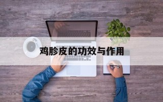 鸡胗皮的功效与作用
