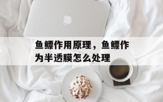 鱼鳔作用原理，鱼鳔作为半透膜怎么处理
