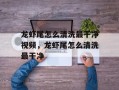 龙虾尾怎么清洗最干净视频，龙虾尾怎么清洗最干净