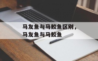 马友鱼与马鲛鱼区别，马友鱼与马鲛鱼
