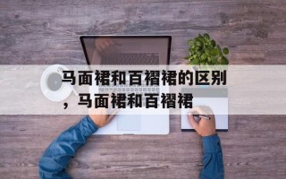 马面裙和百褶裙的区别，马面裙和百褶裙