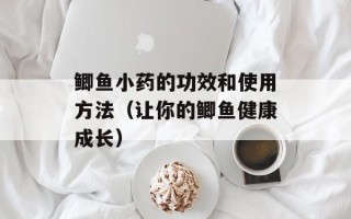 鲫鱼小药的功效和使用方法（让你的鲫鱼健康成长）