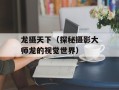 龙摄天下（探秘摄影大师龙的视觉世界）