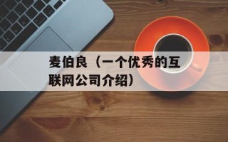 麦伯良（一个优秀的互联网公司介绍）