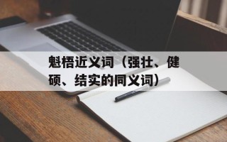 魁梧近义词（强壮、健硕、结实的同义词）