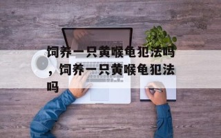 饲养一只黄喉龟犯法吗，饲养一只黄喉龟犯法吗