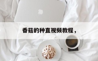 香菇的种直视频教程，