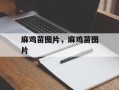 麻鸡苗图片，麻鸡苗图片