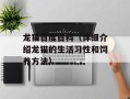 龙猫百度百科（详细介绍龙猫的生活习性和饲养方法）