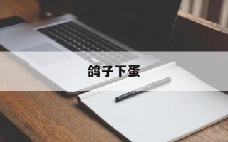 鸽子下蛋