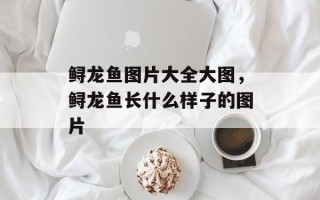 鲟龙鱼图片大全大图，鲟龙鱼长什么样子的图片