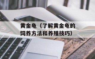 黄金龟（了解黄金龟的饲养方法和养殖技巧）