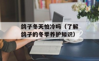 鸽子冬天怕冷吗（了解鸽子的冬季养护知识）
