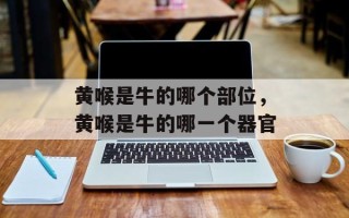 黄喉是牛的哪个部位，黄喉是牛的哪一个器官