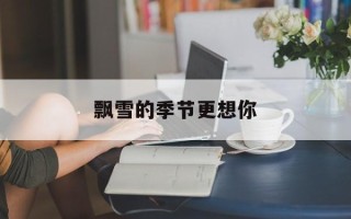 飘雪的季节更想你