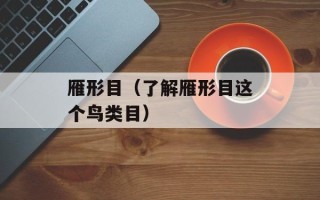 雁形目（了解雁形目这个鸟类目）