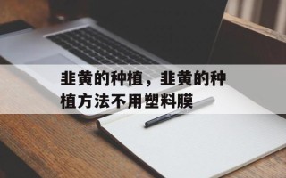 韭黄的种植，韭黄的种植方法不用塑料膜