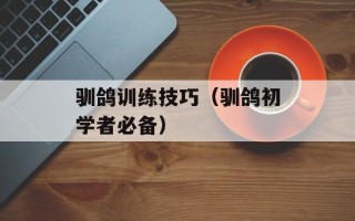 驯鸽训练技巧（驯鸽初学者必备）