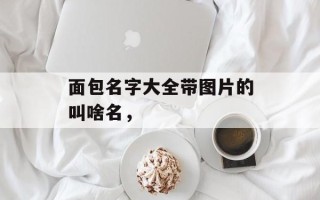 面包名字大全带图片的叫啥名，