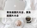 黄鱼面图片大全，黄鱼面图片大全