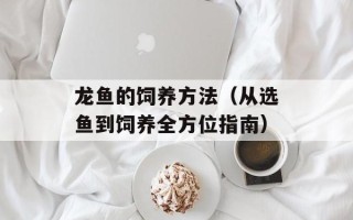 龙鱼的饲养方法（从选鱼到饲养全方位指南）