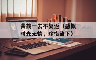 黄鹤一去不复返（感慨时光无情，珍惜当下）