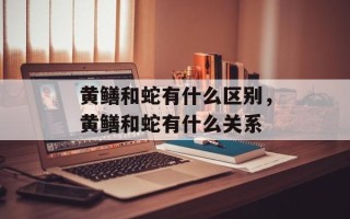 黄鳝和蛇有什么区别，黄鳝和蛇有什么关系