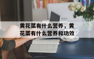 黄花菜有什么营养，黄花菜有什么营养和功效