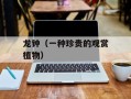 龙钟（一种珍贵的观赏植物）