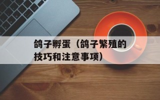 鸽子孵蛋（鸽子繁殖的技巧和注意事项）