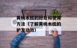 黄杨木梳的好处和使用方法（了解黄杨木梳的护发功效）