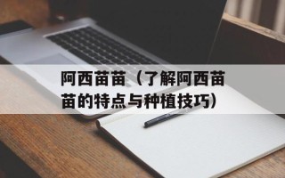 阿西苗苗（了解阿西苗苗的特点与种植技巧）