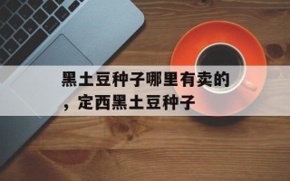 黑土豆种子哪里有卖的，定西黑土豆种子