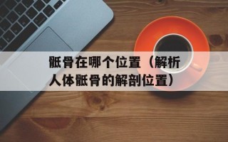 骶骨在哪个位置（解析人体骶骨的解剖位置）