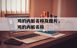 鸡的内脏名称及图片，鸡的内脏名称