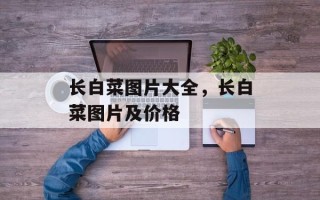 长白菜图片大全，长白菜图片及价格