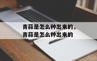 青蒜是怎么种出来的，青蒜是怎么种出来的