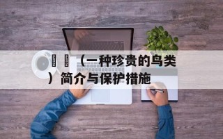 鶺鴒（一种珍贵的鸟类）简介与保护措施