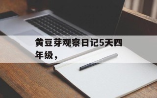 黄豆芽观察日记5天四年级，